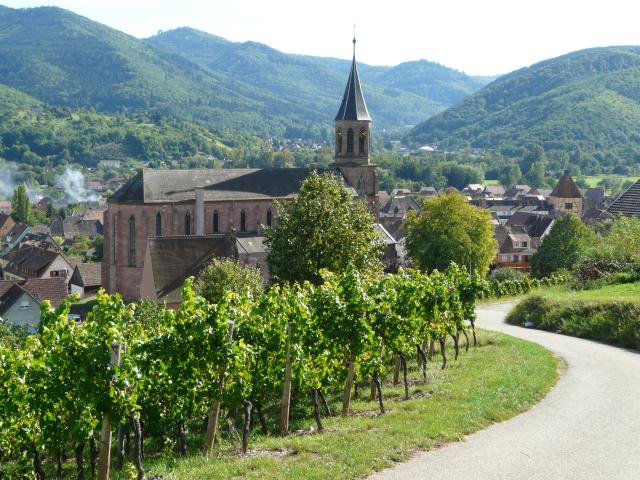 Terrain à bâtir viabilisé de 8,75 ares WIHR AU VAL