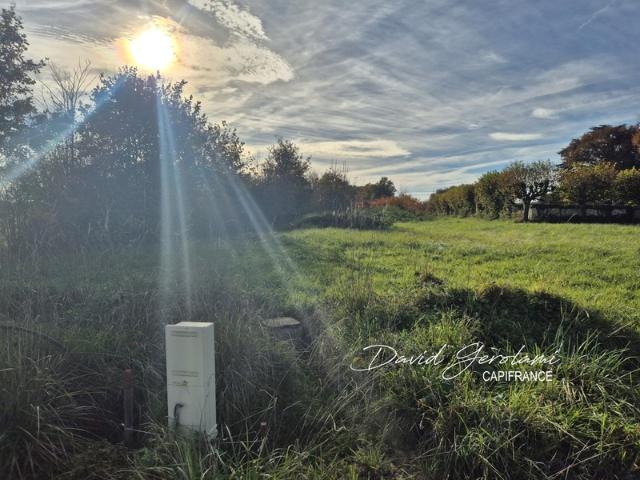 Terrain à bâtir viabilisé 553,00 m² Libre Constructeur