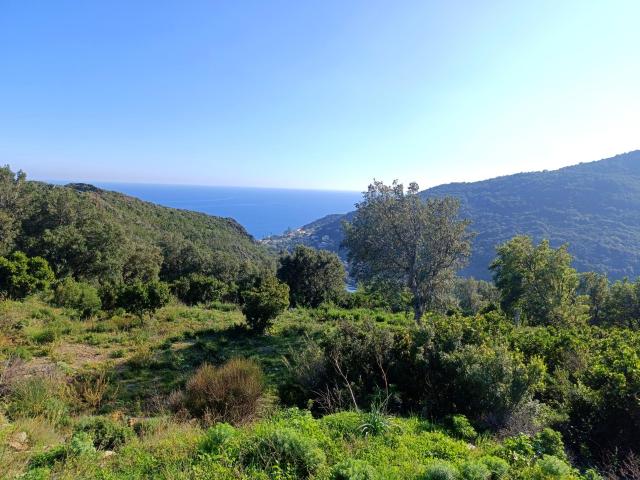 Terrain à bâtir vue mer et montagnes