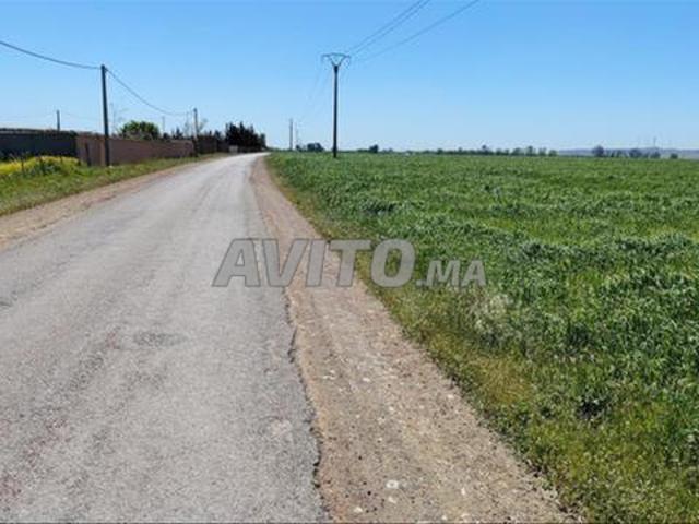 Terrain à Bir Jdid pour habitation et investir