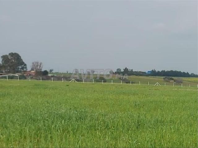 Terrain à la campagne proche Casablanca