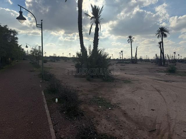 Terrain a la palmeraie Marrakech pour hôtel