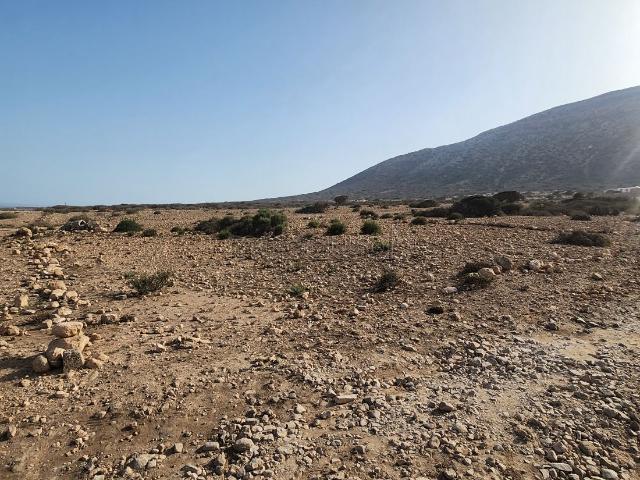 Terrain à la vente à Tamri. Surface totale 249 m²