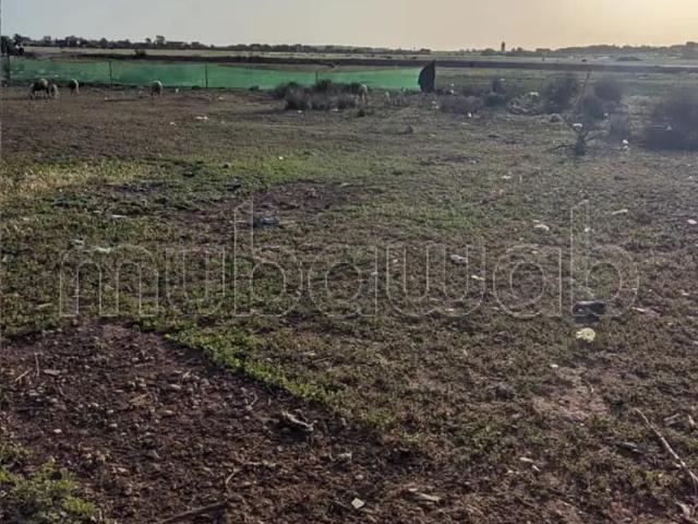Terrain à la vente à Bir Jdid. Surface de 1100 m²