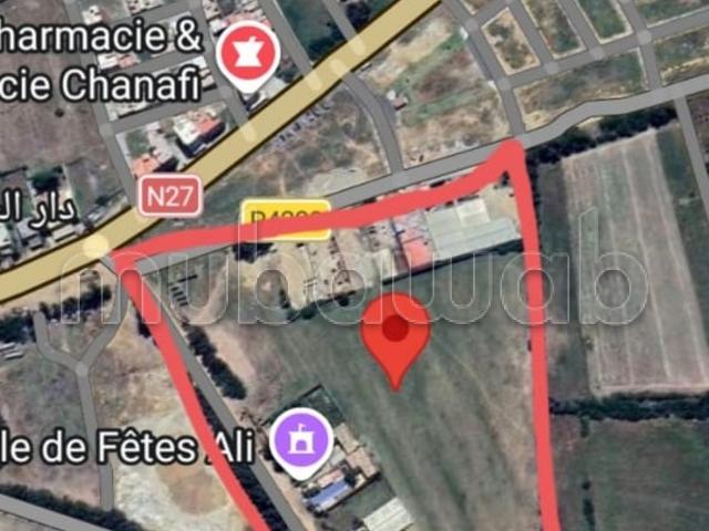 Terrain à la vente à Mechra Bel Ksiri. Superficie 30000 m²