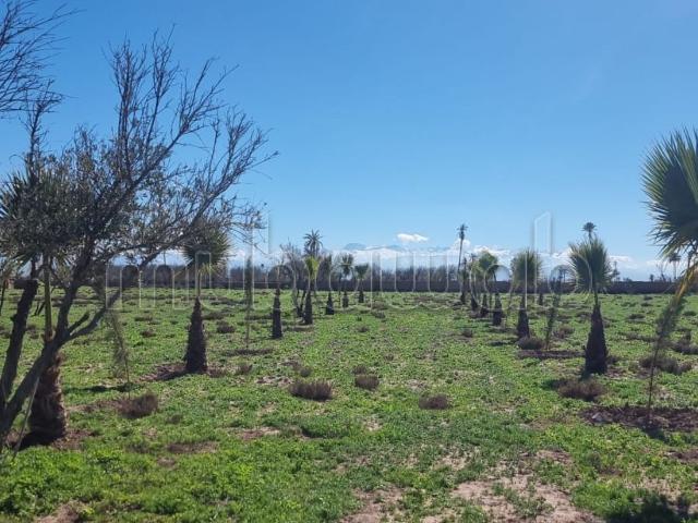 Terrain à la vente à Route de Fez. Superficie 10000 m²