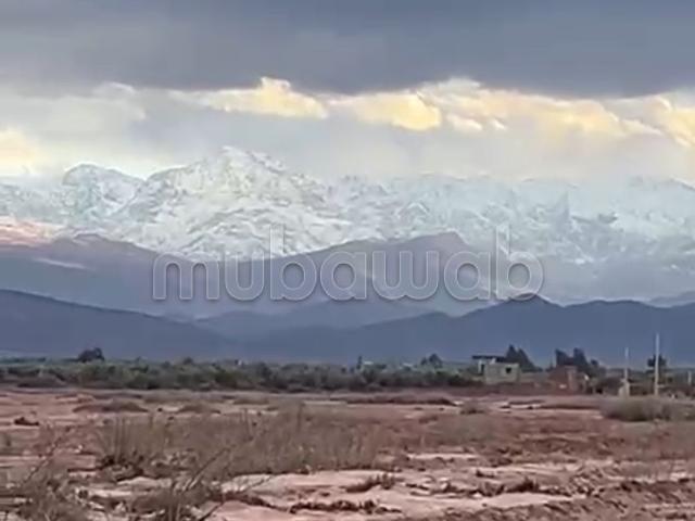 Terrain à la vente à Sidi Abdallah Ghiat. Surface de 13 Hectares