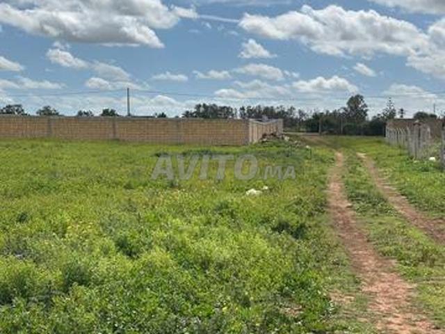 Terrain à la vente à Sidi Rahal Chatai 10000 m²
