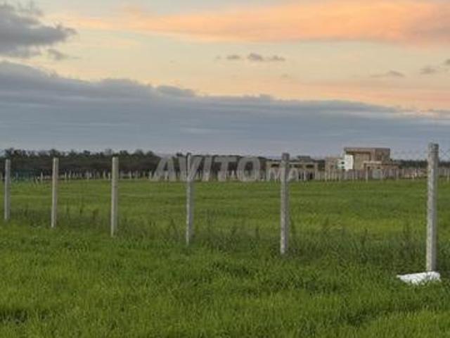 Terrain à la vente à Sidi Rahal Chatai. 10000 m²