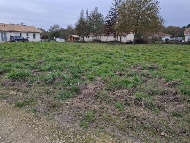 TERRAIN A LABRIT