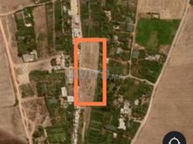 Terrain à Sebbet à vendre urgemment avant de partir à l'étranger