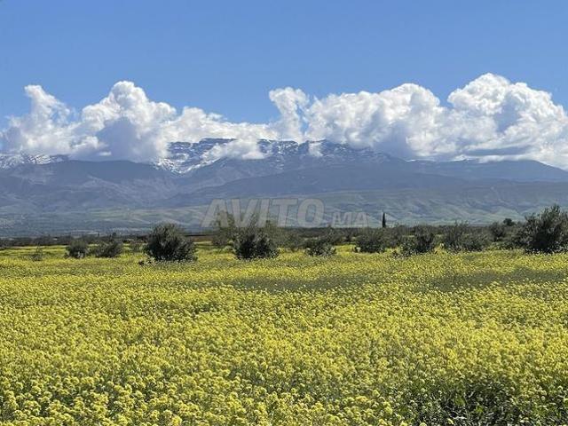 Terrain à tamazouzt dans la vallée d'ourika, marrakech