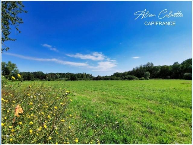 Terrain à vendre MATIGNICOURT GONCOURT 51 Axe Vitry le François/Saint Dizier