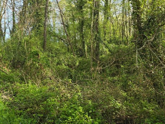 Terrain à vendre non constructible de 2 500,00 m² LE CHAMP SAINT PERE 85 le piquet