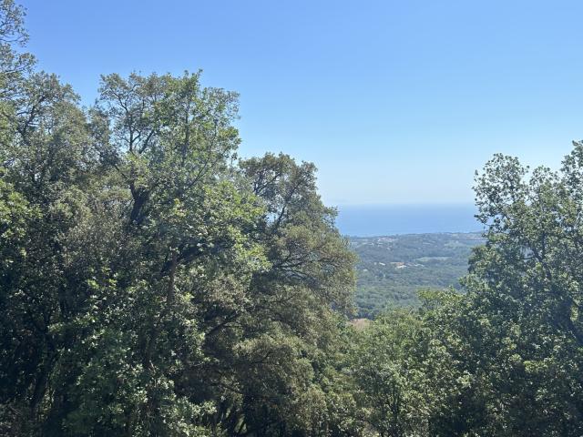 Terrain à vendre à Cervioni 2700 m2 avec bâtisse en pierre à rénover