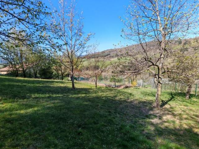 TERRAIN A VENDRE A SAVAS