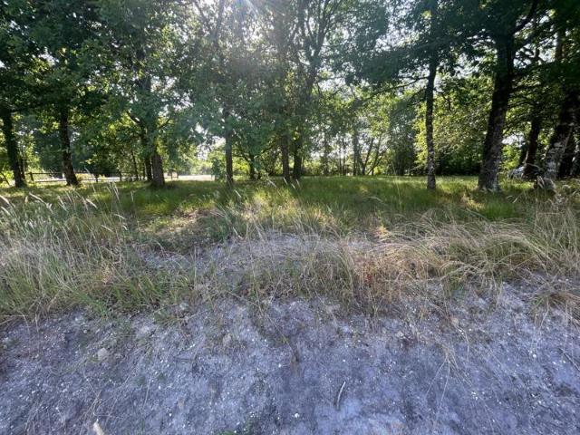 Terrain à vendre Belhade 40410
