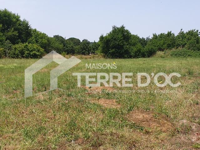 Terrain à vendre Briatexte