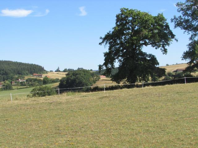 Terrain à vendre de 1,73 Ha LE ROUSSET MARIZY 71