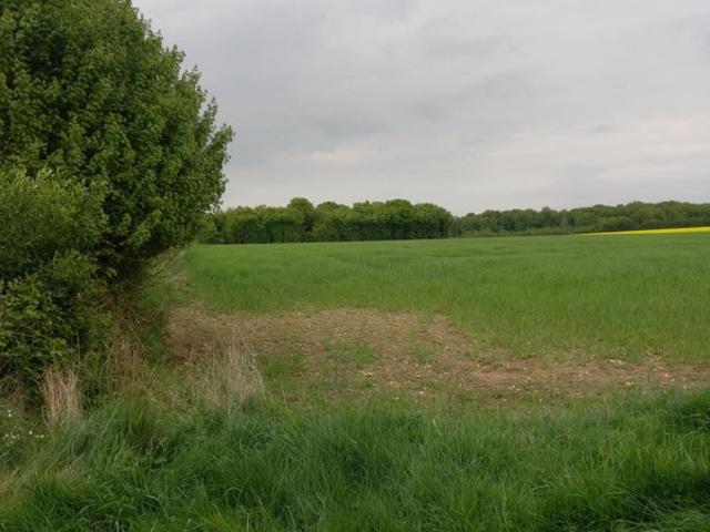 Terrain à vendre de 2 924,00 m² COURTEMAUX 45