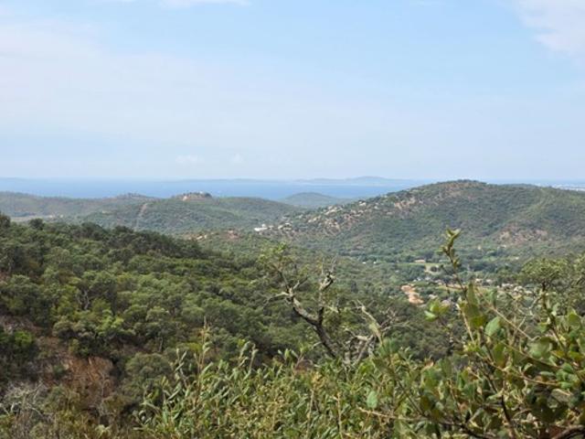 Terrain à vendre de 37 235,00 m² BORMES LES MIMOSAS 83