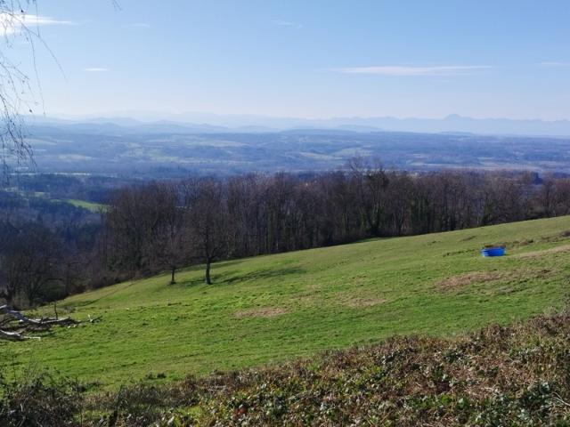 Terrain à vendre de 4122 proche de ESCOUTOUXx 63
