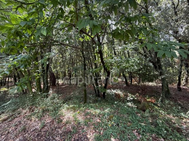 Terrain à bâtir à vendre 799,00 m² CENDRAS 30