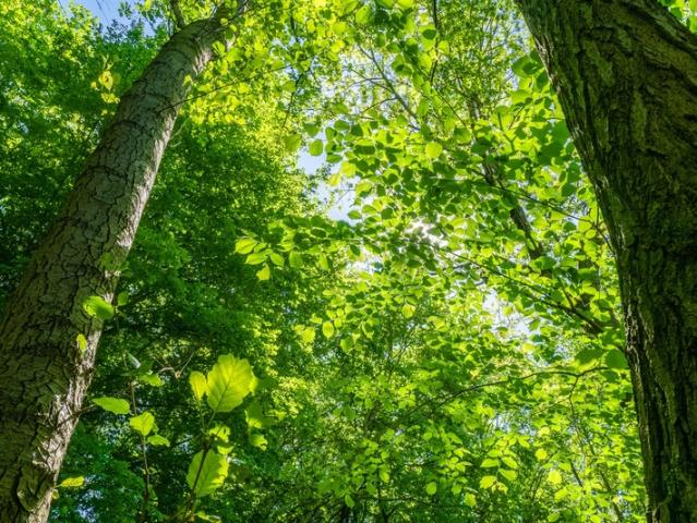 Terrain à vendre de 964,00 m² BOULT SUR SUIPPE 51
