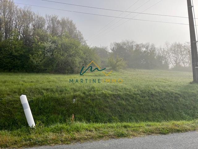 TERRAIN A VENDRE ENTRE MARMANDE ET CASTELJALOUX