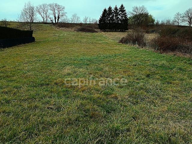 Terrain viabilisé de 2710 m2 RARE sur la commune de LIMONS 63290
