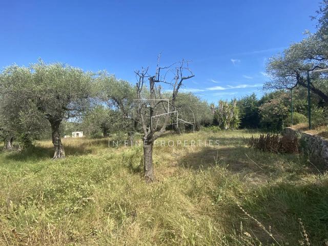 TERRAIN A VENDRE PROCHE VALBONNE