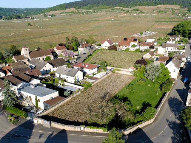 Terrain à vendre, proche Gevrey Chambertin, 21220 Brochon, France
