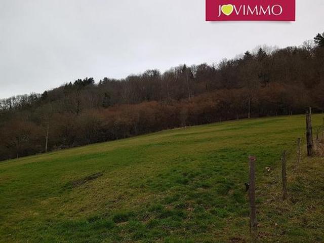 Terrain à vendre sur Gelles