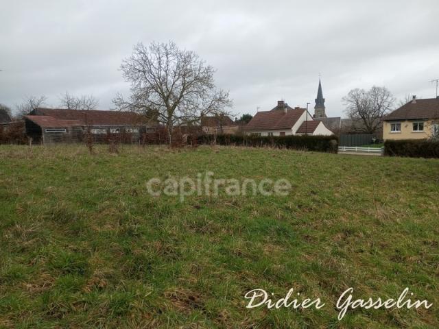 Terrain à vendre SAINT HILAIRE SUR ERRE 61