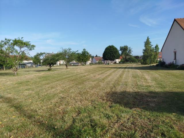 Terrain à vendre SAMBIN 41