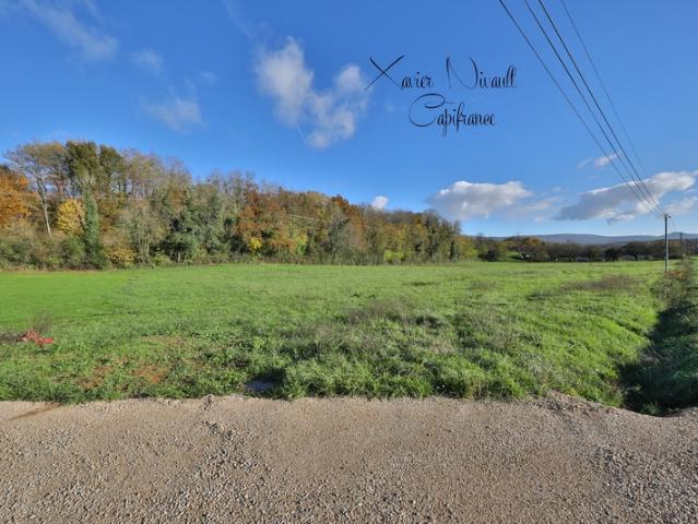 Terrain à vendre VERJON 01