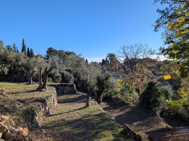 Terrain À Vendre