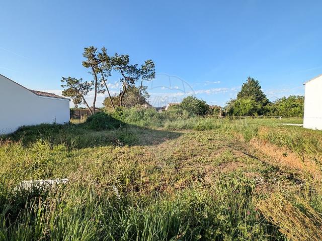 Terrain à vendre