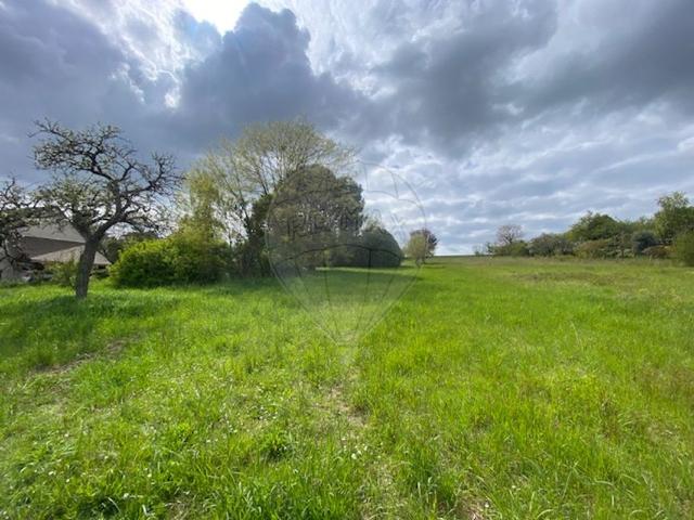 Terrain à vendre