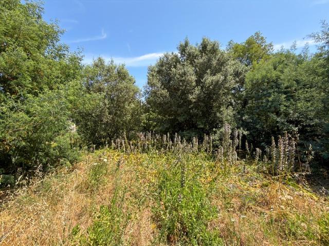 Terrain À Vendre