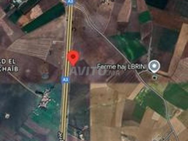 Terrain agricol 1.66h. A 5km a berrechid