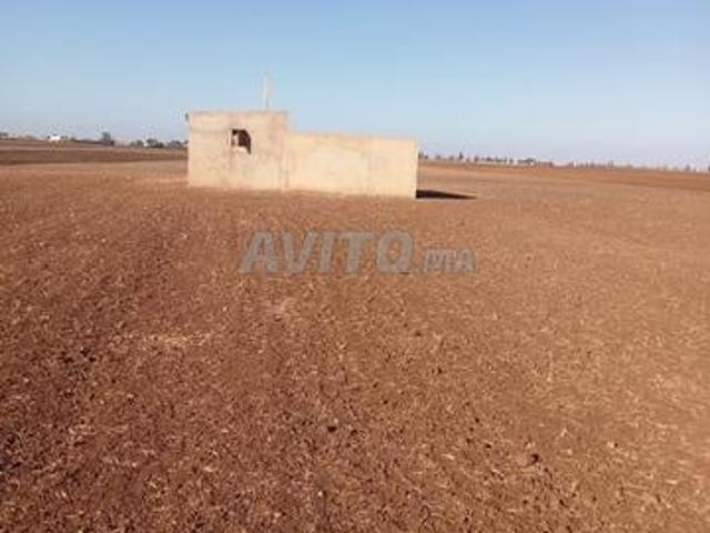 Terrain agricol