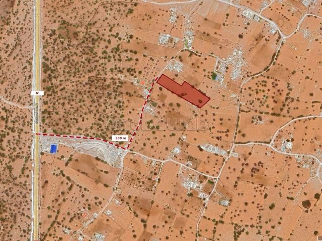 Terrain agricol à Vendre à 18km d'Essaouira