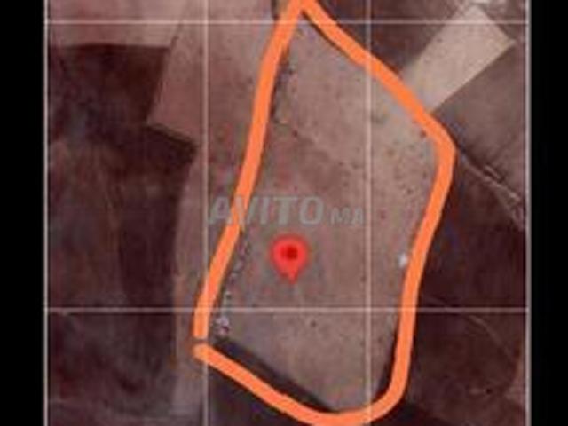 Terrain agricol de 20 hectares en vente a asfi