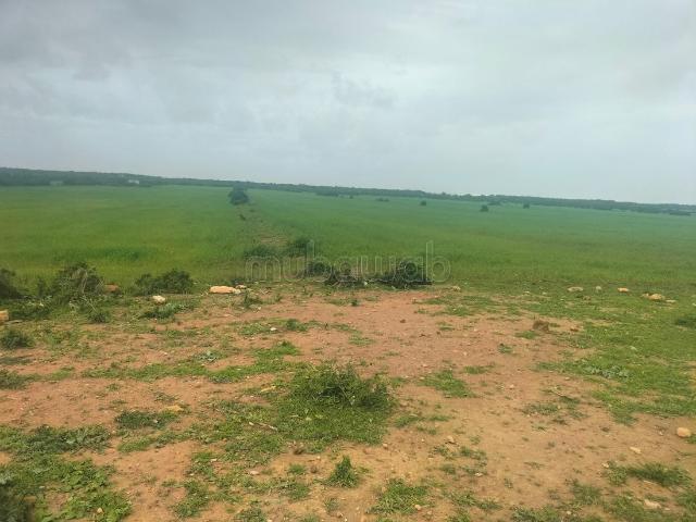 Terrain agricol sur goudron