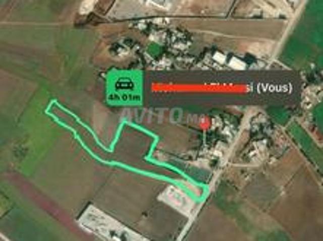 Terrain agricole mediouna sidi hajjaj