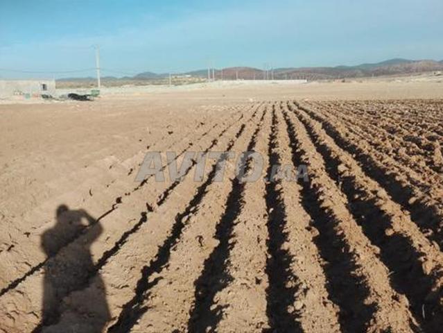 Terrain agricole Midelt Tazer