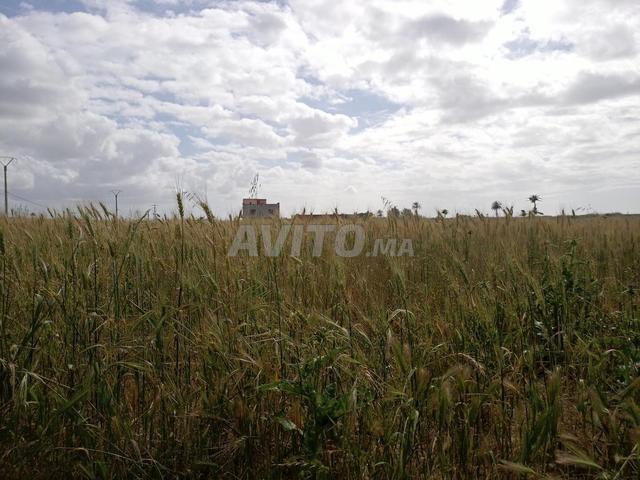 Terrain agricole avec habitation, puits et écuries