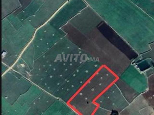 Terrain agricole à الجماعة الشعيبات أولاد فرج