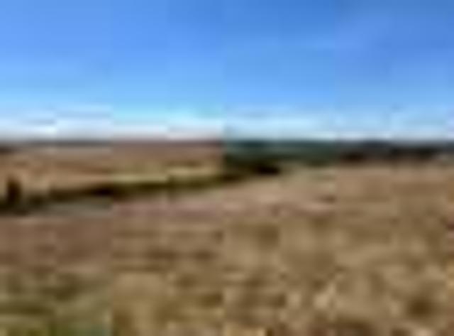 Terrain Agricole à Sidi Allal El Bahraoui 1 HA Khemisset